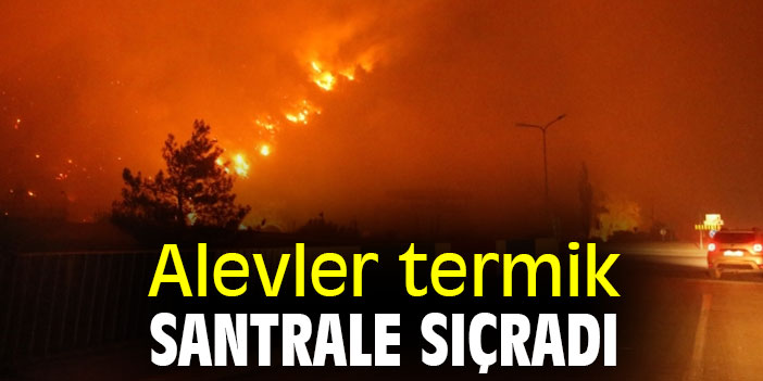 Alevler Termik Santrale sıçradı