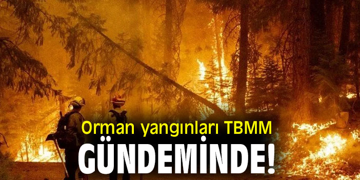 Orman yangınları TBMM gündeminde!