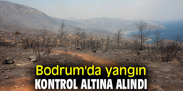 Bodrum'da yangın kontrol altına alındı