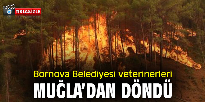 Bornova Belediyesi veterinerleri Muğla'dan döndü