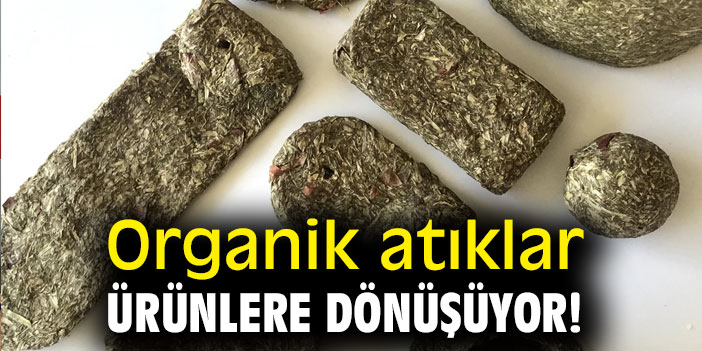 Organik atıklar ürünlere dönüşüyor!