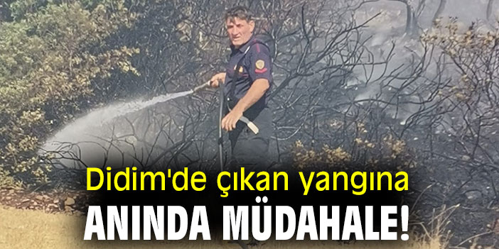 Didim'de çıkan yangına anında müdahale!