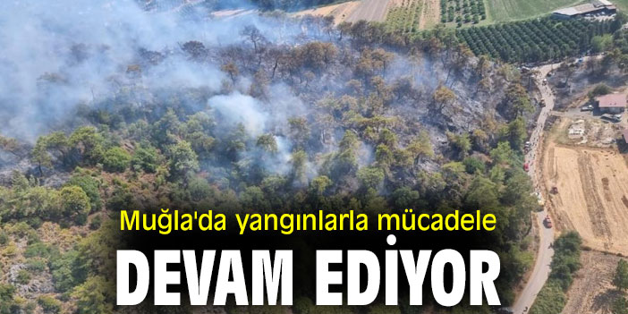 Muğla'da yangınlarla mücadele devam ediyor
