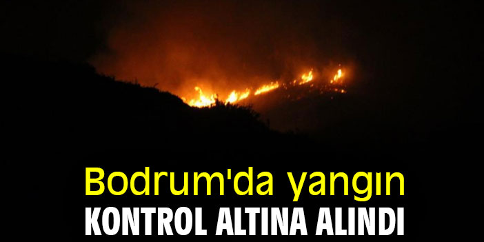 Bodrum'da yangın kontrol altına alındı