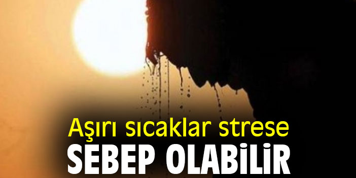 Aşırı sıcaklar strese sebep olabilir