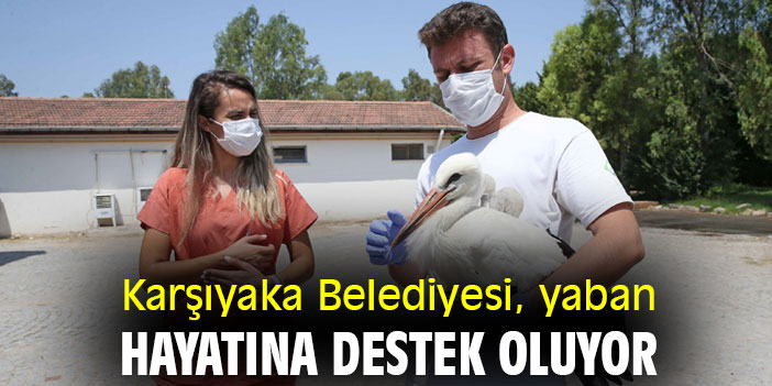 Karşıyaka Belediyesi, yaban hayatına destek oluyor