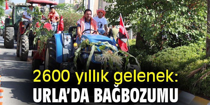 2600 yıllık gelenek: Urla'da Bağbozumu