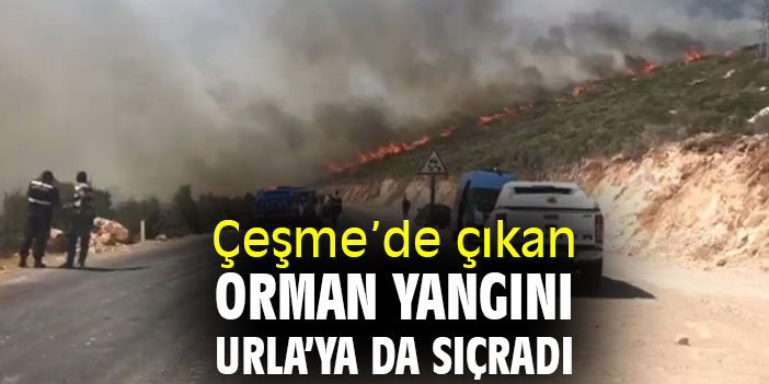 Çeşme'de çıkan orman yangını Urla'ya da sıçradı