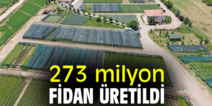 273 milyon fidan üretildi