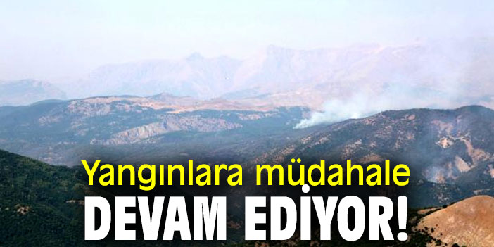 Yangınlara müdahale devam ediyor!