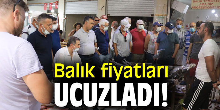 Balık fiyatları ucuzladı!