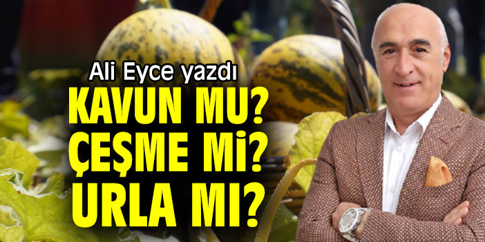 KAVUN MU? ÇEŞME Mİ? URLA MI?
