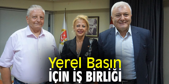 Yerel Basın İçin İş Birliği