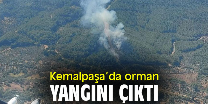 Kemalpaşa'da orman yangını çıktı
