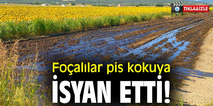 Foçalılar pis kokuya isyan etti!