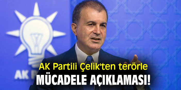AK Partili Çelik'ten terörle mücadele açıklaması!