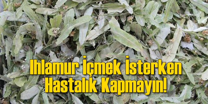 Ihlamur İçmek İsterken Hastalık Kapmayın!