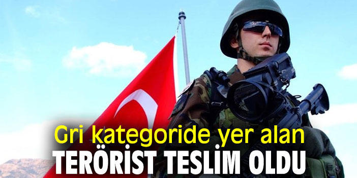 Gri kategoride yer alan terörist teslim oldu