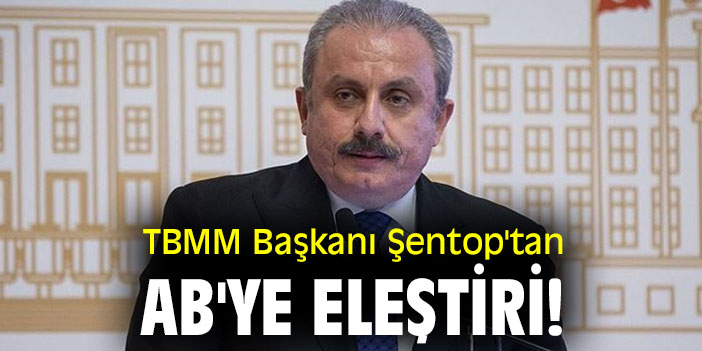 TBMM Başkanı Şentop'tan AB'ye eleştiri!