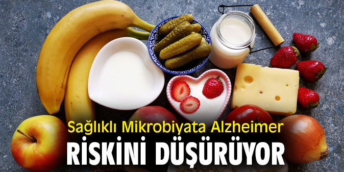 Uzmanı açıkladı! Sağlıklı Mikrobiyata Alzheimer Riskini Düşürüyor