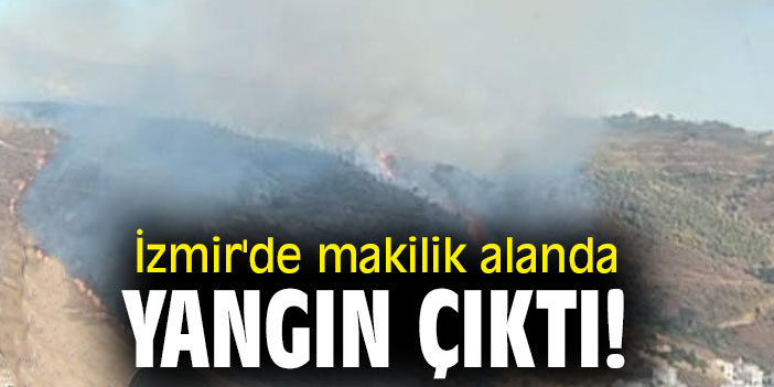 İzmir'de makilik alanda yangın çıktı!