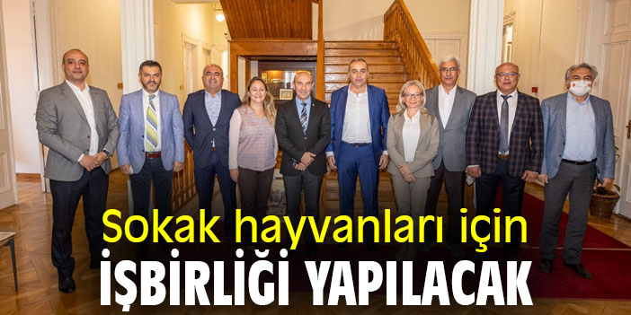 Sokak hayvanları için işbirliği yapılacak