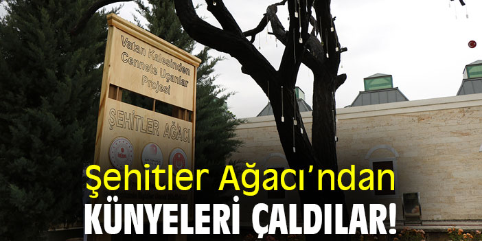 Şehitler Ağacı'ndan künyeleri çaldılar!