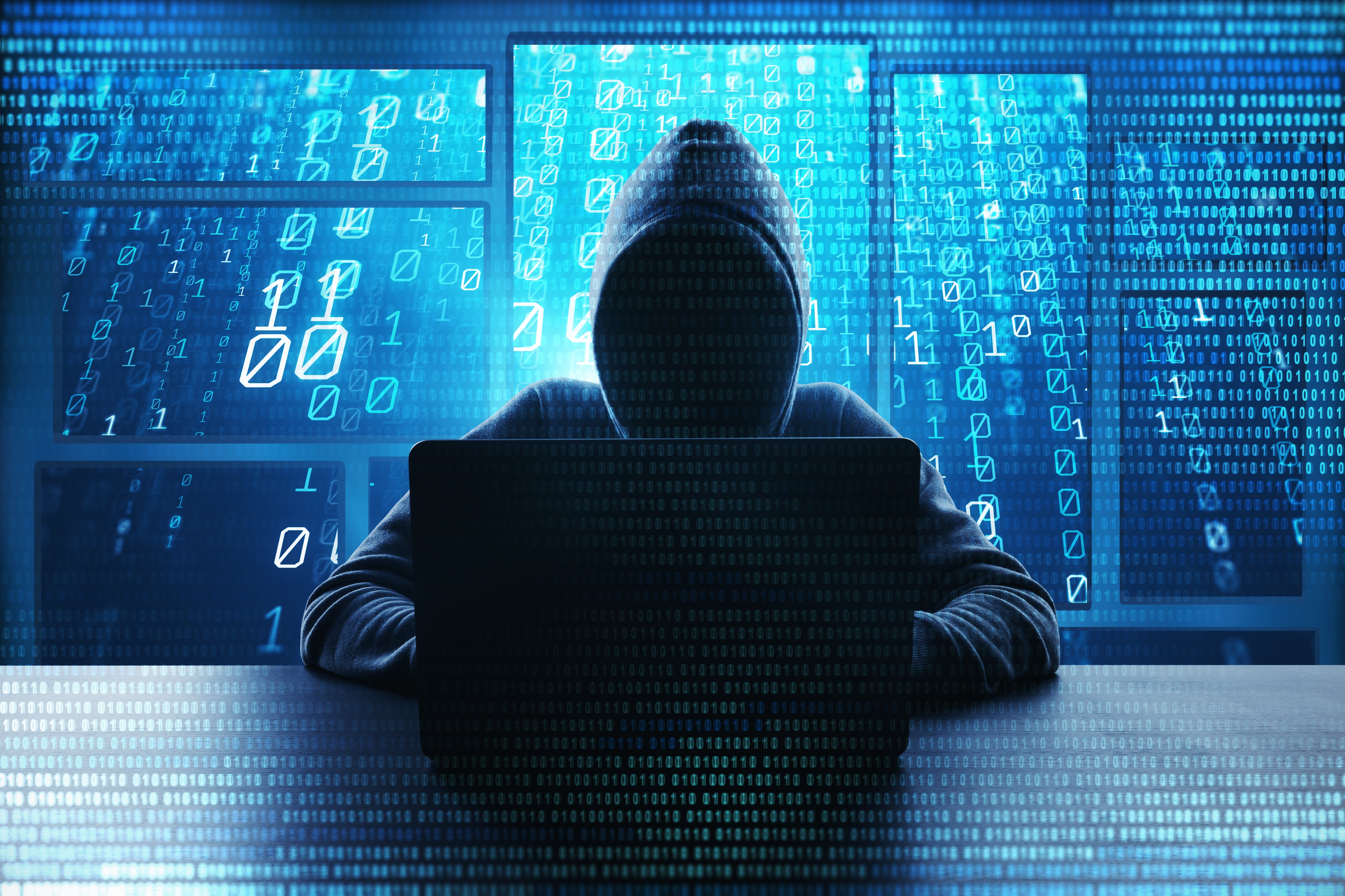 Evcil hayvanlar, hacklenmenize neden oluyor!