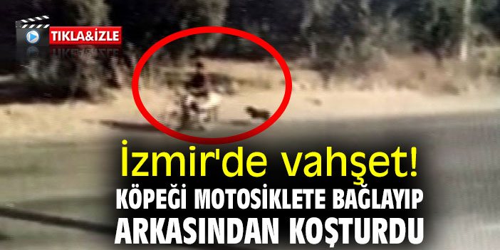 İzmir'de vahşet! Köpeği motosiklete bağlayıp arkasından koşturdu