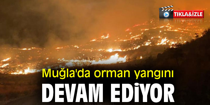 Muğla'da orman yangını devam ediyor