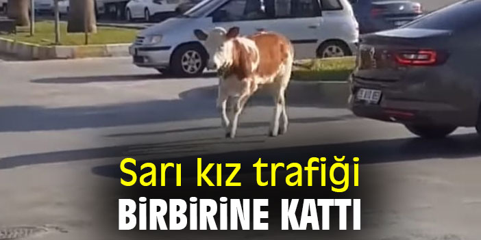 Sarı kız trafiği birbirine kattı