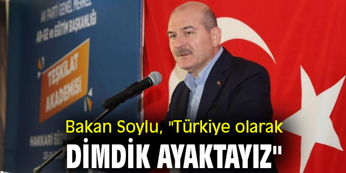 Bakan Soylu, "Türkiye olarak dimdik ayaktayız"