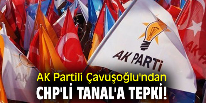 AK Partili Çavuşoğlu'ndan CHP'li Tanal'a tepki!