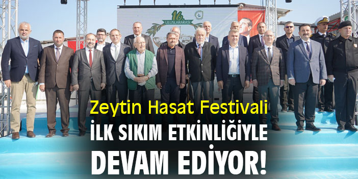 Zeytin Hasat Festivali ilk sıkım etkinliğiyle devam ediyor!