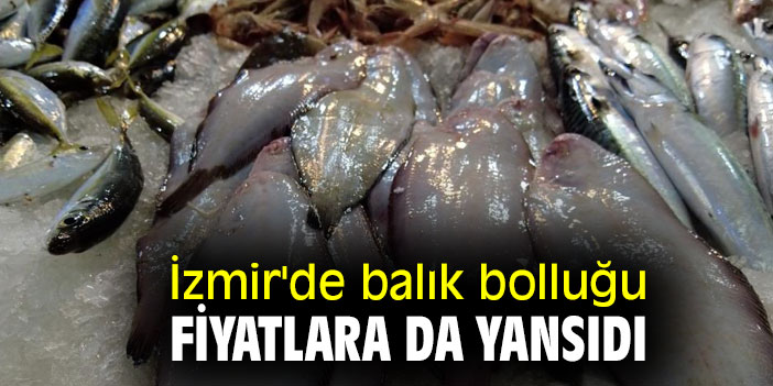 İzmir'de balık bolluğu fiyatlara da yansıdı