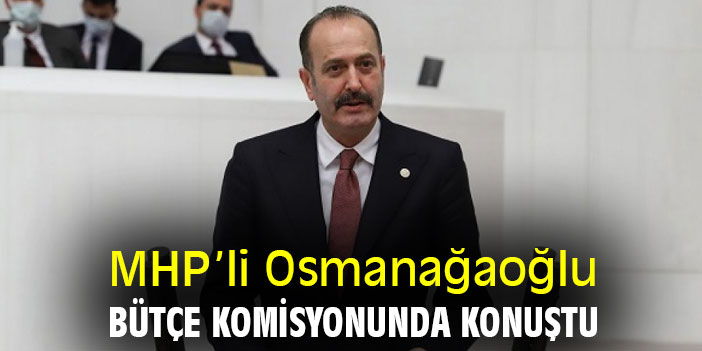 MHP’li Osmanağaoğlu, bütçe komisyonunda konuştu