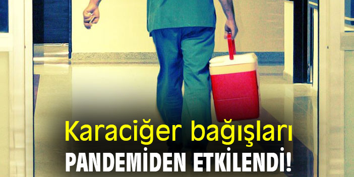 Karaciğer bağışları, pandemiden etkilendi!