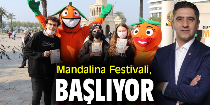 Mandalina Festivali, başlıyor