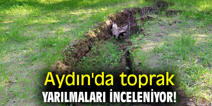 Aydın'da toprak yarılmaları inceleniyor!
