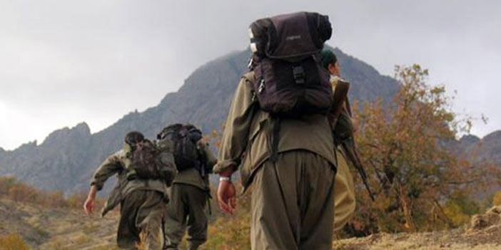 PKK mensupları ikna yoluyla teslim oldu