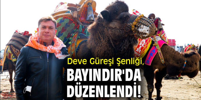 Deve Güreşi Şenliği, Bayındır'da düzenlendi!