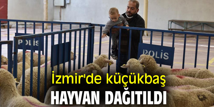 İzmir'de küçükbaş hayvan dağıtıldı
