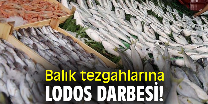 Balık tezgahlarına lodos darbesi!