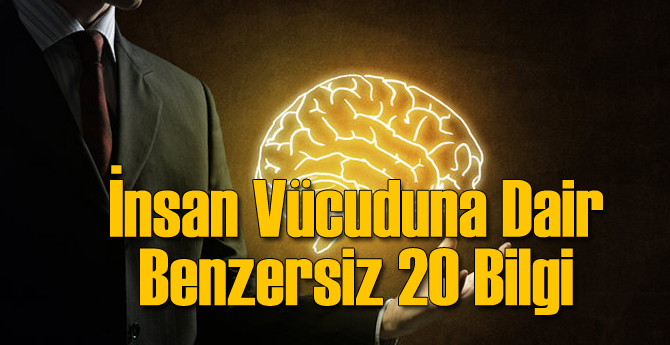 İnsan Vücudunun Eşsizliği'ne Dair 20 Bilgi