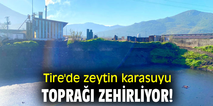 Tire'de zeytin karasuyu toprağı zehirliyor!