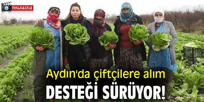 Aydın'da çiftçilere alım desteği sürüyor!