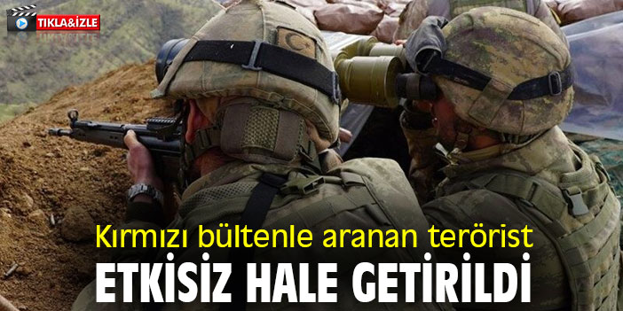 Kırmızı bültenle aranan terörist etkisiz hale getirildi