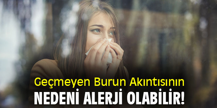 Geçmeyen Burun Akıntısının Nedeni Alerji Olabilir!