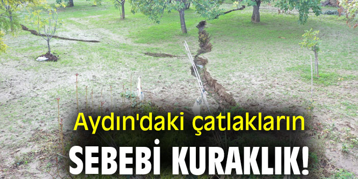 Aydın'daki çatlakların sebebi kuraklık!
