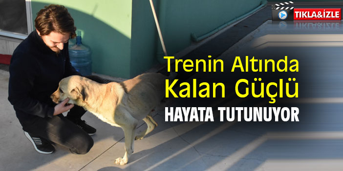 Trenin Altında Kalan Güçlü, Hayata Tutunuyor